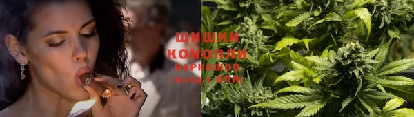 спиды Бородино