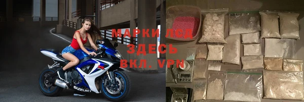 спиды Бородино