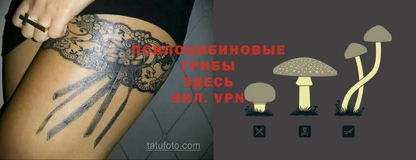 спиды Бородино
