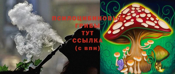 спиды Бородино