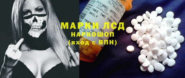 спиды Бородино