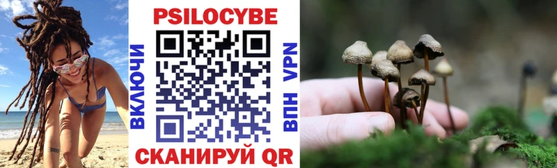 Псилоцибиновые грибы Cubensis  Великий Новгород 